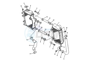 WR F 250 drawing RADIATOR-HOSE