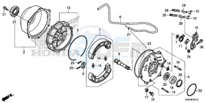 TRX420TM1E TRX420 Europe Direct - (ED) drawing REAR BRAKE PANEL