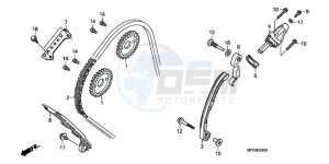 CB600FA3A France - (F / ABS CMF ST 25K) drawing CAM CHAIN/TENSIONER