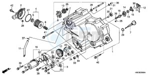 TRX500FPMC drawing FRONT CRANKCASE COVER