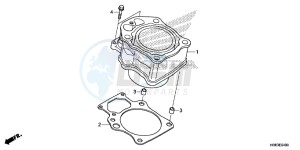 TRX500FA5H TRX500FA ED drawing CYLINDER