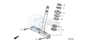 CB1000RAA Europe Direct - (ED / ABS) drawing STEERING STEM