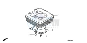 TRX250TEA Australia - (U / EC) drawing CYLINDER