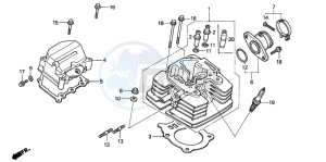 TRX350FE RANCHER 4X4 ES drawing CYLINDER HEAD