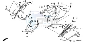 TRX250XB drawing FRONT FENDER