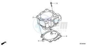 CRF250X9 Europe Direct - (ED / CMF) drawing CYLINDER