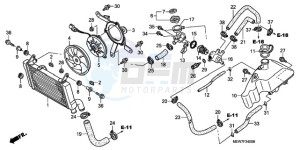 NT700VAA France - (F / ABS) drawing RADIATOR