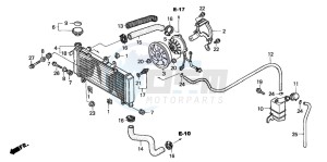 CBF600NA drawing RADIATOR (CBF600S/SA)