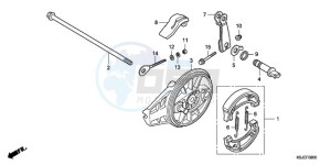 CRF80F9 Mexico - (MX) drawing REAR BRAKE PANEL