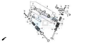 CB250 NIGHTHAWK drawing CAMSHAFT/VALVE