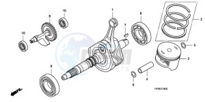 TRX420FEA Australia - (U / 4WD) drawing CRANK SHAFT/PISTON