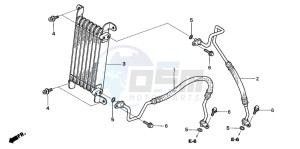 TRX680FA drawing OIL COOLER