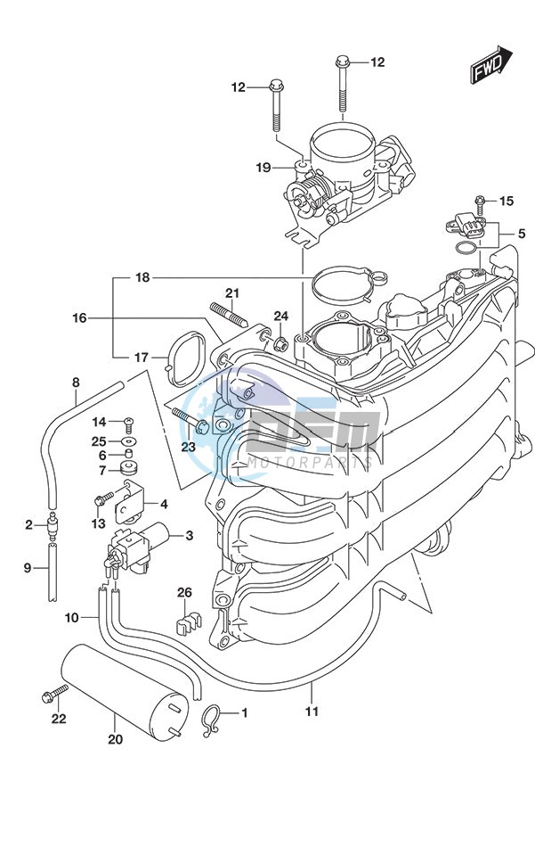 Intake Manifold/Throttle Body