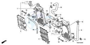 CRF150RB9 Europe Direct - (ED / T19) drawing RADIATOR