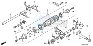 GL18009 SI / AB NAV - (SI / AB NAV) drawing GEARSHIFT DRUM/SHIFT FORK