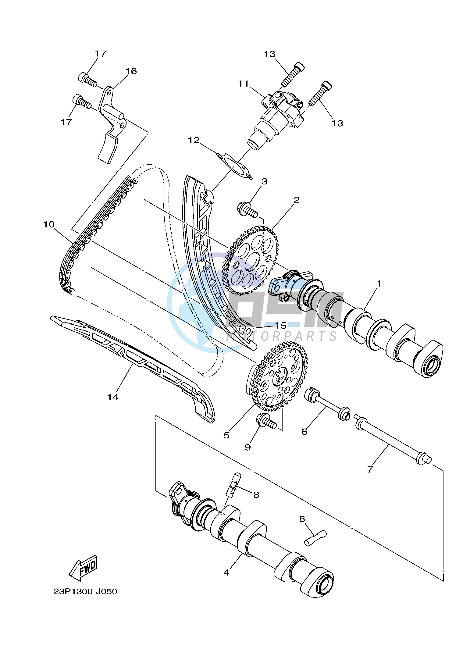 CAMSHAFT & CHAIN