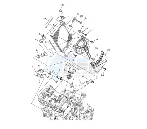 XTZ SUPER TENERE 1200 drawing RADIATOR AND HOSE