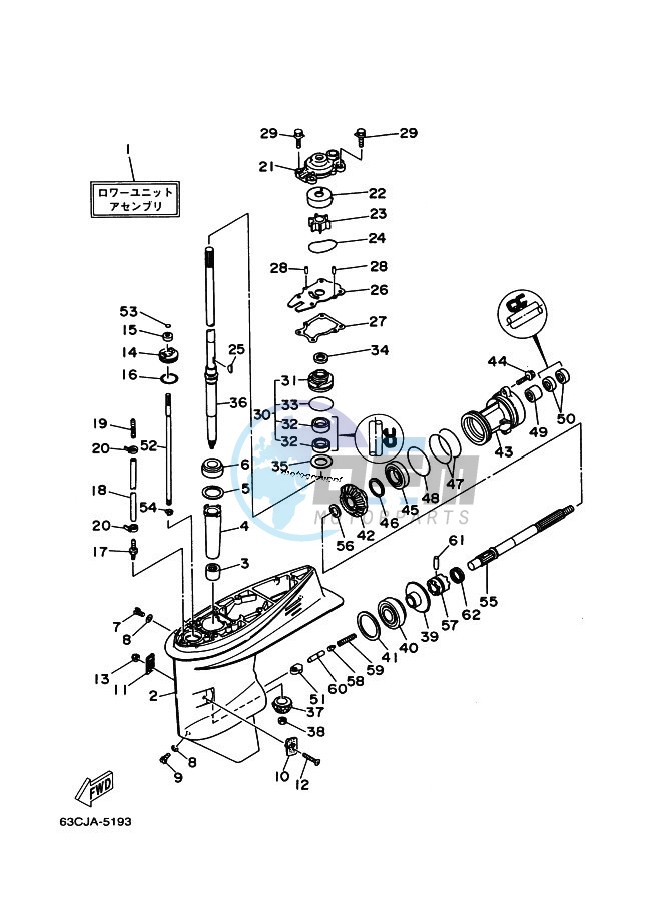 LOWER-CASING-x-DRIVE