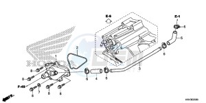 TRX500FM2E TRX500FM2 U drawing WATER PUMP COVER