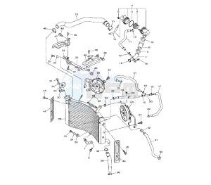 FZ8-N 800 drawing RADIATOR AND HOSE