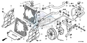 TRX420FPAD TRX420 Europe Direct - (ED) drawing RADIATOR