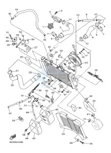 XJ6S 600 DIVERSION (S-TYPE) (36CJ 36CK) drawing RADIATOR & HOSE