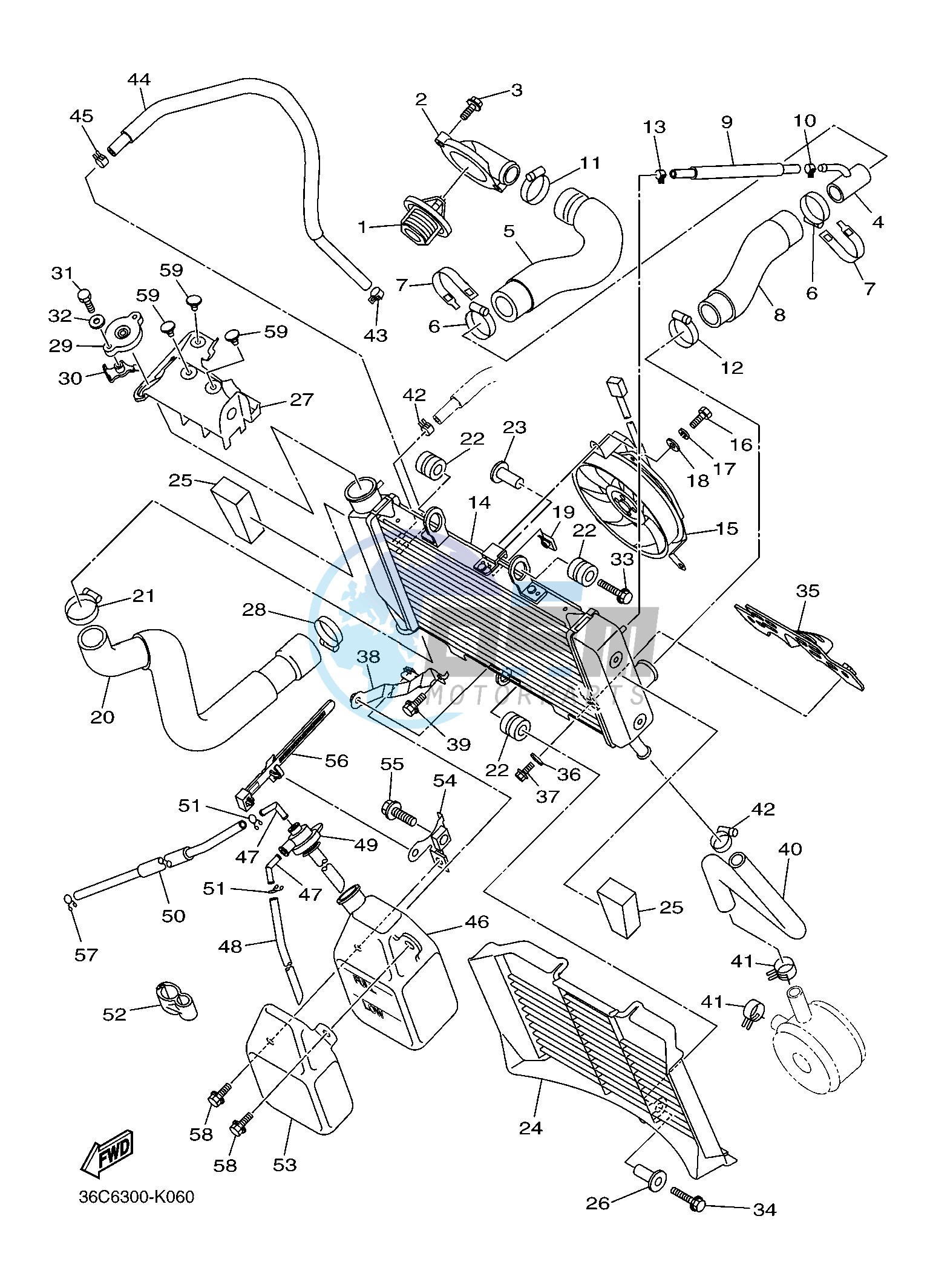 RADIATOR & HOSE