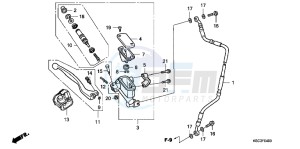 CRF250XB CRF250X ED drawing FR. BRAKE MASTER CYLINDER