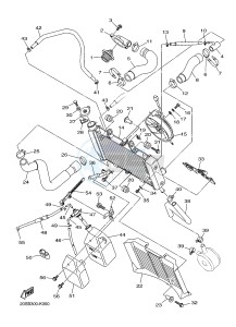 XJ6N 600 XJ6-N (NAKED) (20SJ) drawing RADIATOR & HOSE