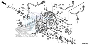 TRX500FE1E TRX500FE1 Europe Direct - (ED) drawing REAR CRANKCASE COVER