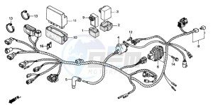 TRX250TM FOURTRAX RECON drawing WIRE HARNESS (TRX250TE)