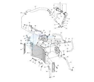 FZ8-SA 800 drawing RADIATOR AND HOSE