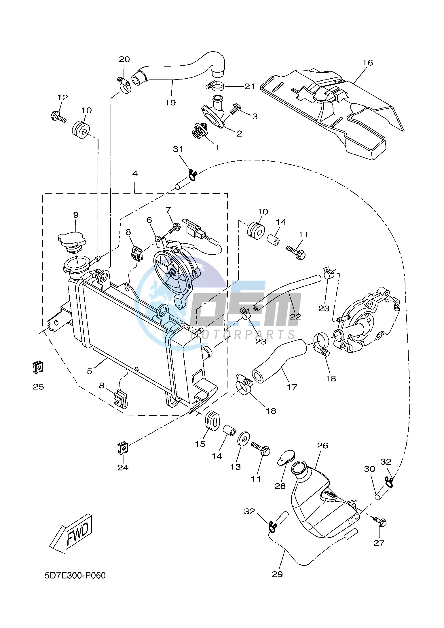 RADIATOR & HOSE