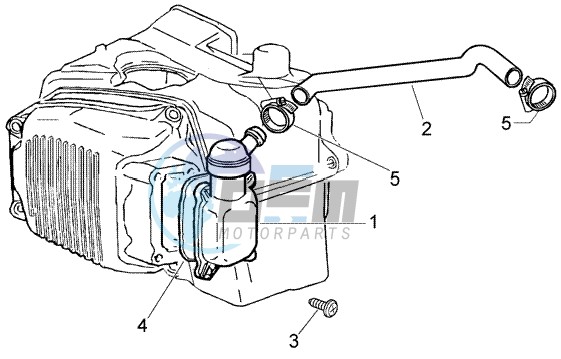 Oil drain valve