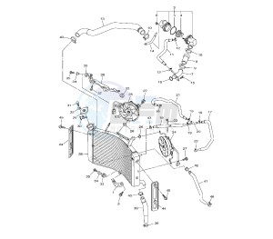 FZ8-S 800 drawing RADIATOR AND HOSE