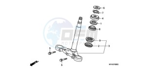 CBF1000TA Europe Direct - (ED / ABS) drawing STEERING STEM