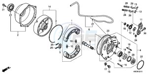 TRX500FPMC drawing REAR BRAKE PANEL