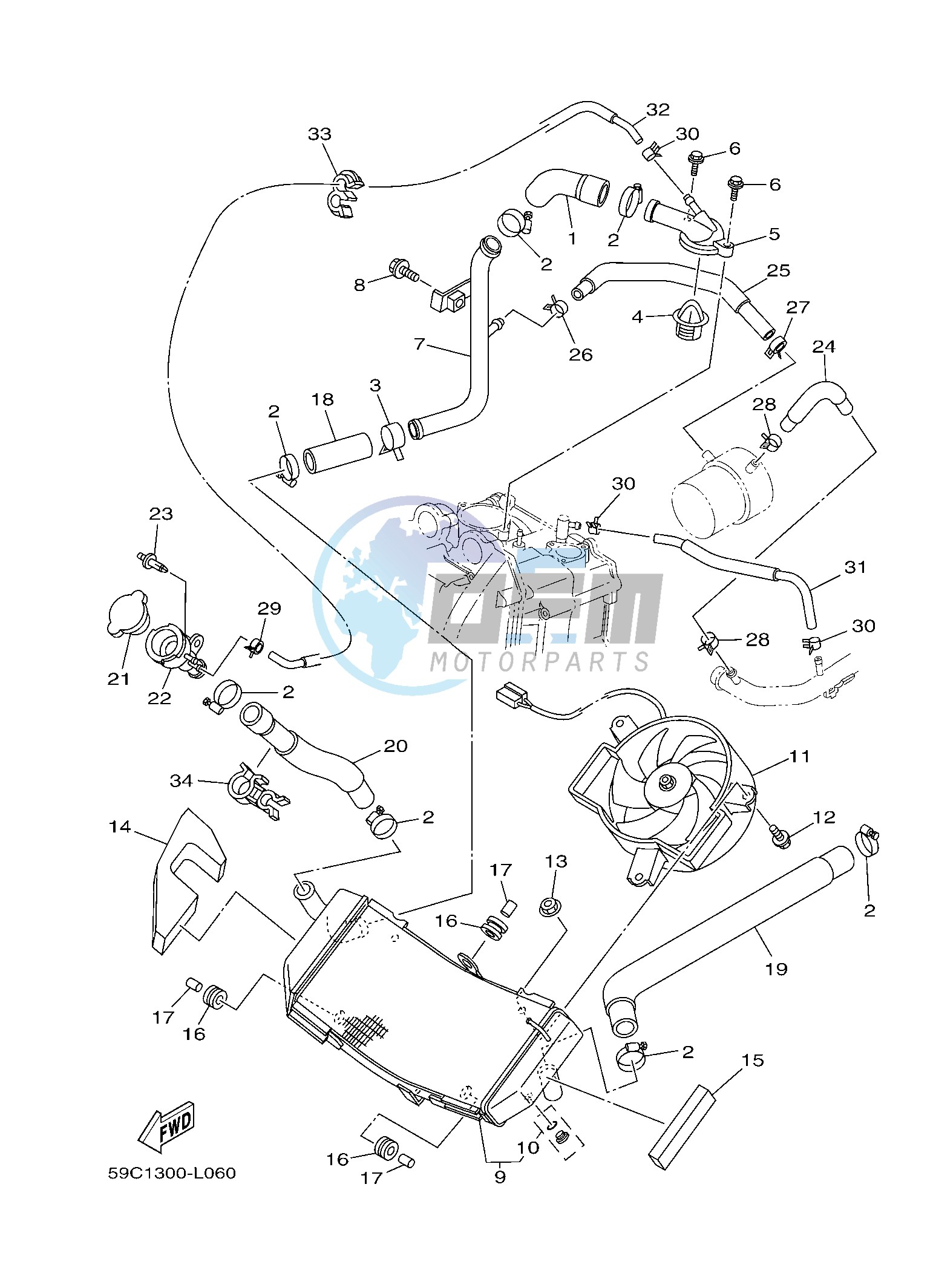 RADIATOR & HOSE