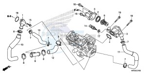 CBR1000RAG CBR1000 - Fireblade ABS Europe Direct - (ED) drawing THERMOSTAT