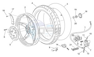 Scarabeo 50 2t (eng. Minarelli) drawing Rear wheel - disc brake