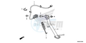 NC700SD NC700S Europe Direct - (ED) drawing STAND