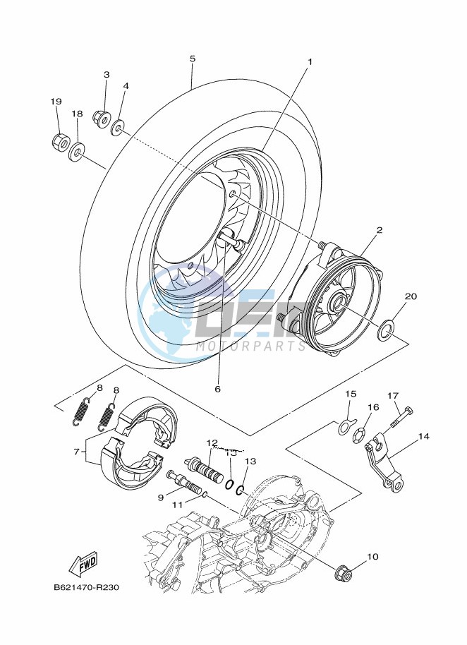 RADIATOR & HOSE