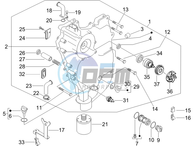 Flywheel magneto cover - Oil filter