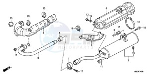 TRX500FPMC drawing EXHAUST MUFFLER