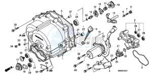 TRX250TEC drawing FRONT CRANKCASE COVER (TRX250TE)