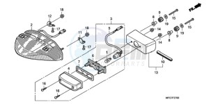 CB600F9 Spain - (SP / 25K) drawing TAILLIGHT