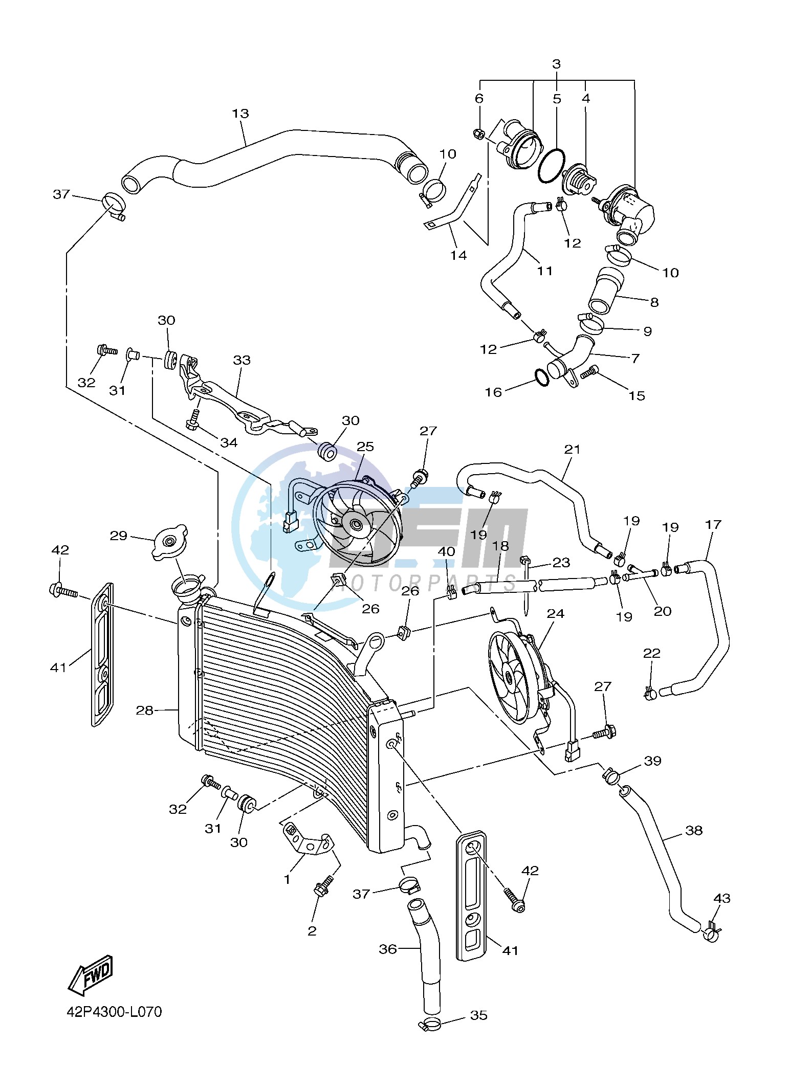 RADIATOR & HOSE