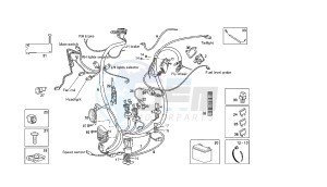 RAMBLA - 300 CC VTHRA1C drawing WIRING HARNESS