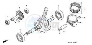 TRX680FAC drawing CRANK SHAFT/ PI STON