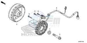 TRX420FE1E TRX420 Europe Direct - (ED) drawing GENERATOR